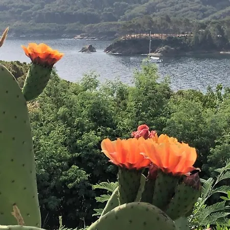 Holiday home Dei Limoni Sul Mare