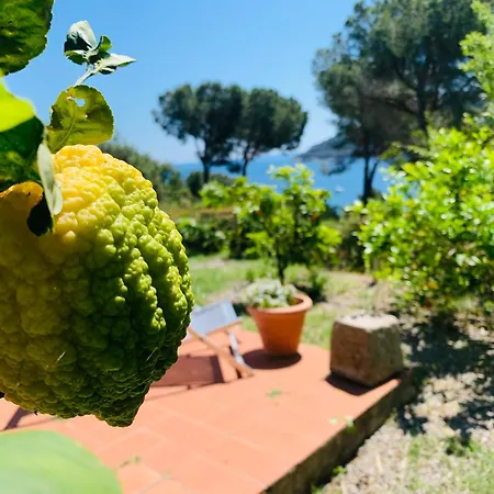 Dei Limoni Sul Mare * Capoliveri (Isola d'Elba)