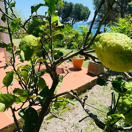 Casa vacanze Dei Limoni Sul Mare *