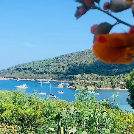 Dei Limoni Sul Mare