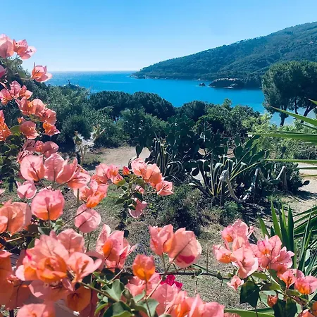 Dei Limoni Sul Mare Holiday home